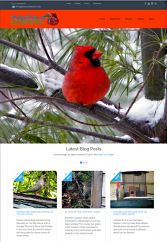 Thumbnail portfolio screenshot of the michiganbirder.com website. 334