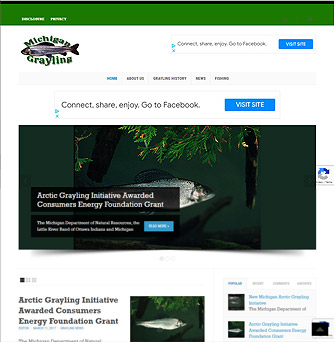 Thumbnail portfolio screenshot of the michigangrayling.com website. 334
